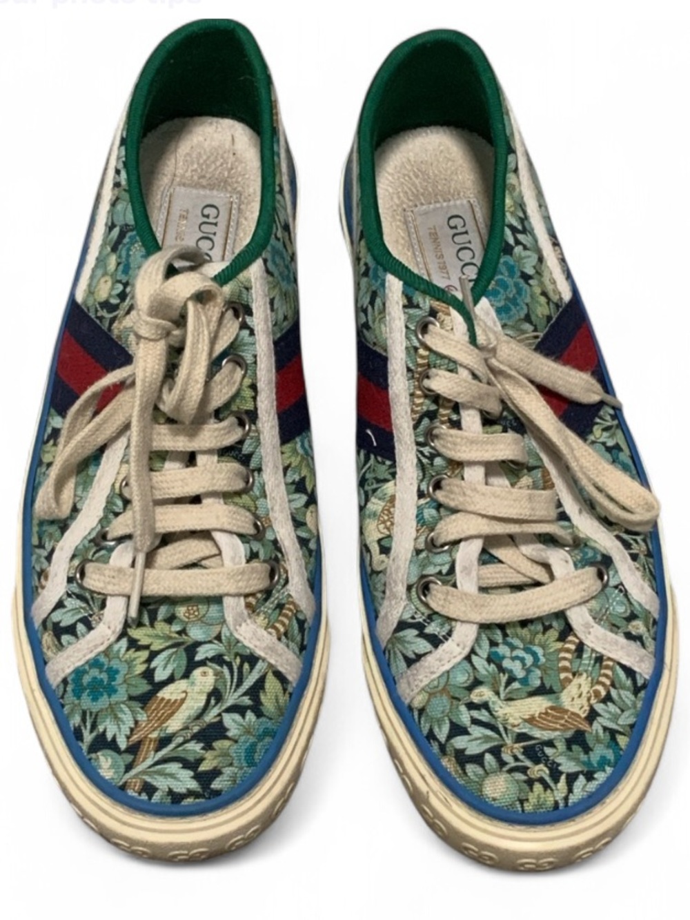 Gucci Green Floral & Bird Low-Top Sneakers with Navy and Red Stripe